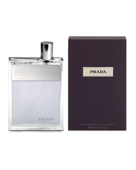 prada amber pour homme eau de toilette für herren|prada amber pour homme fragrantica.